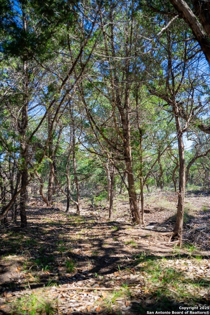 1.03 acres in Comal County - photo 8