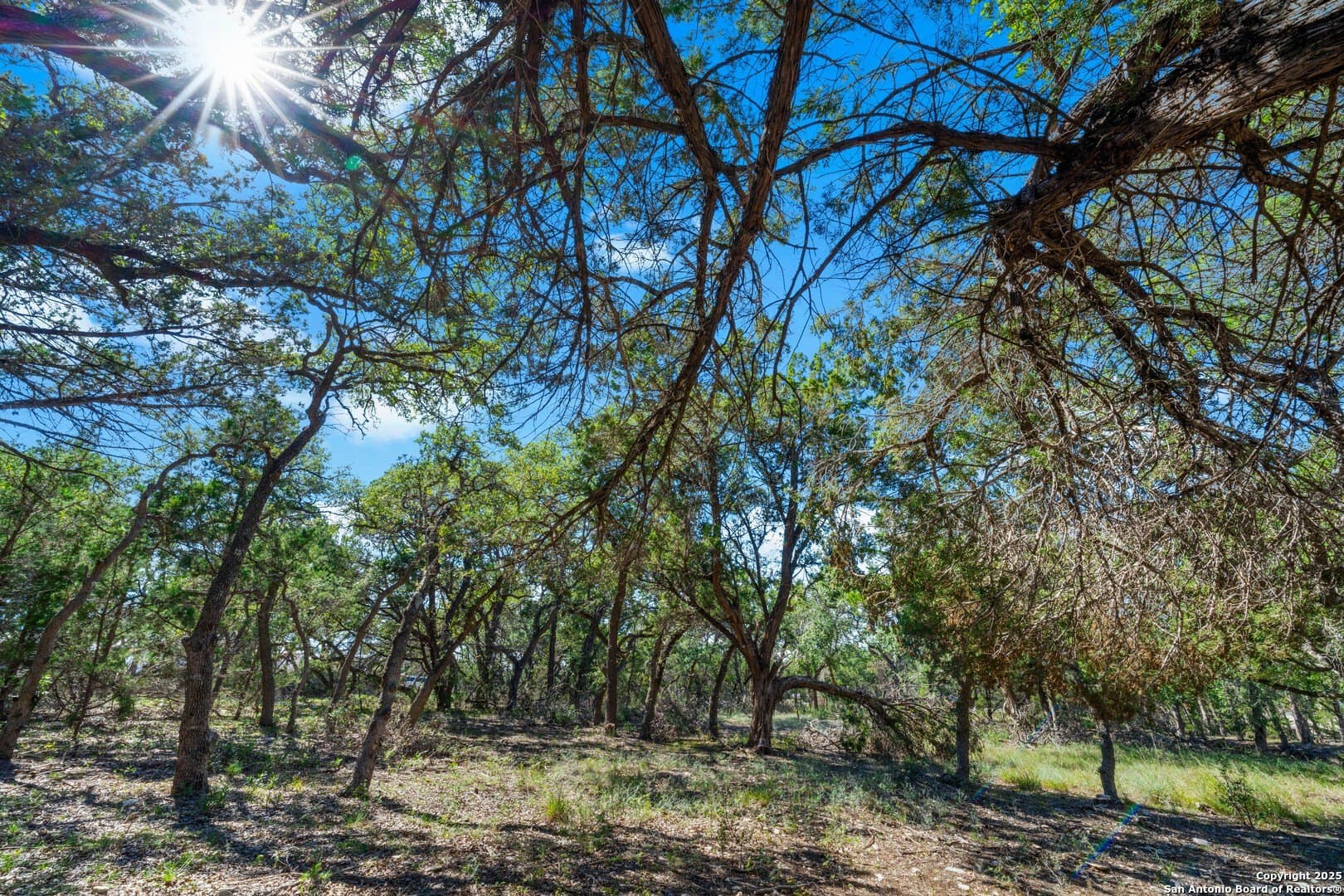 1.03 acres in Comal County - photo 14