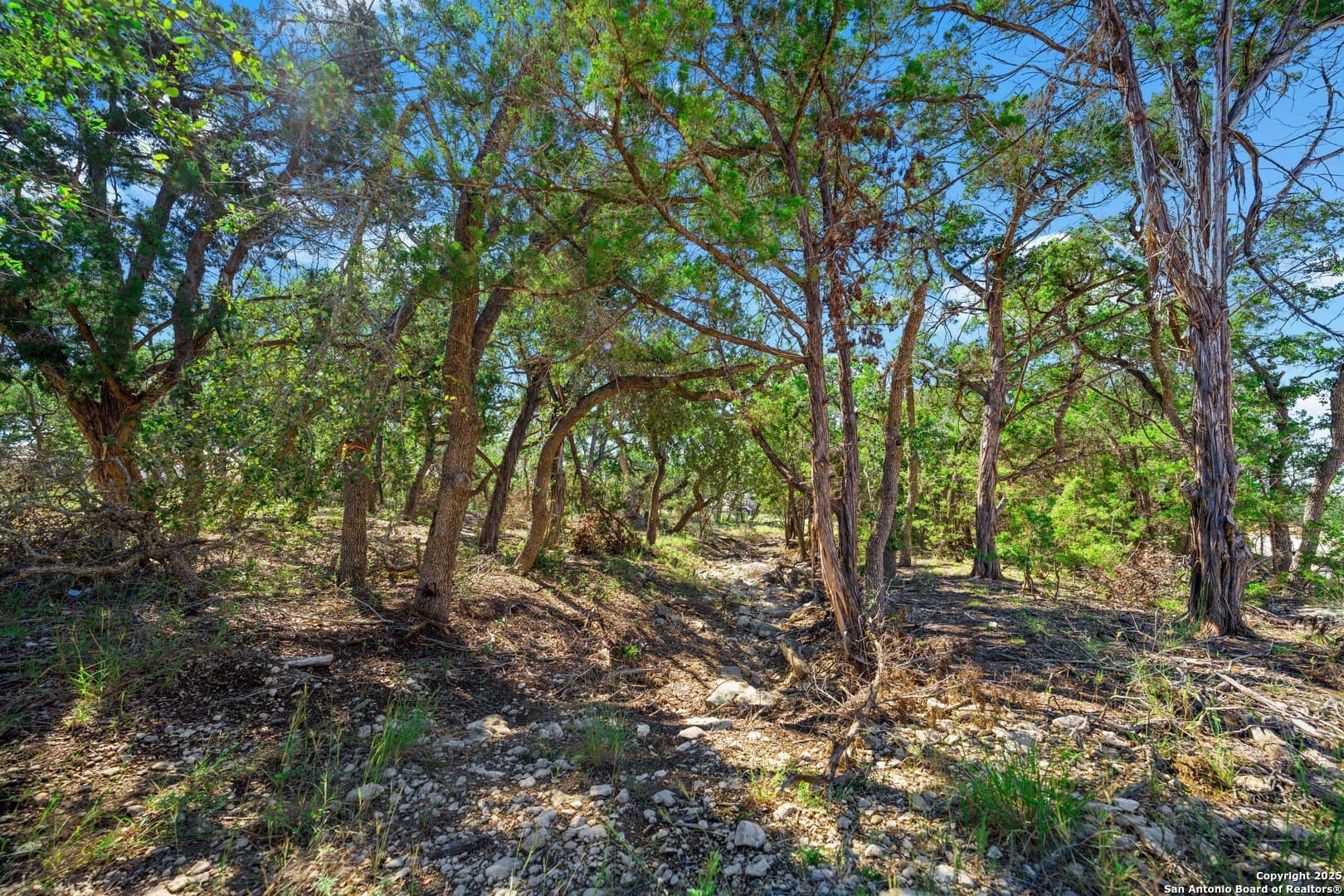 1.03 acres in Comal County - photo 11