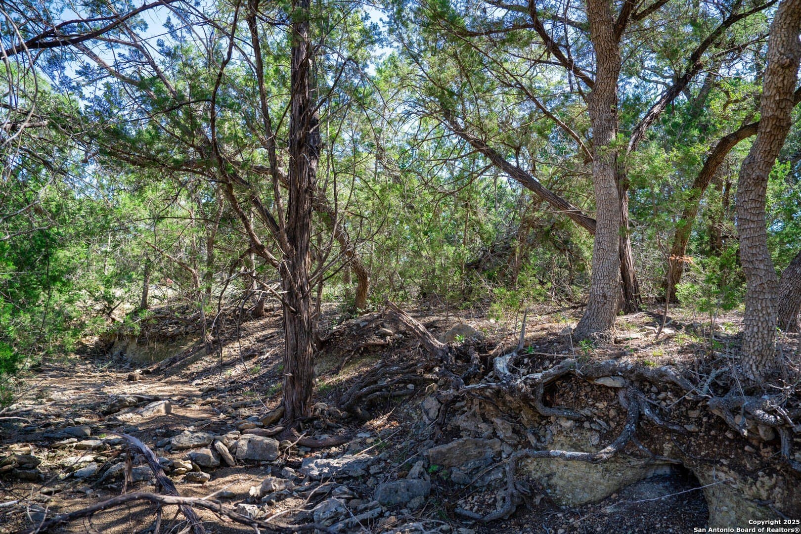 1.03 acres in Comal County - photo 6