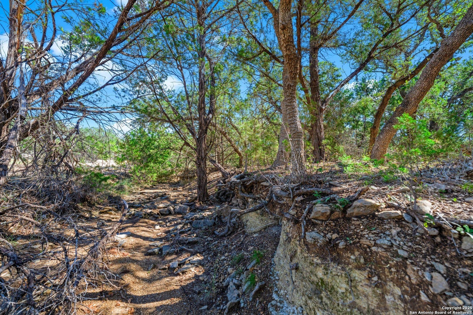 1.03 acres in Comal County - photo 13