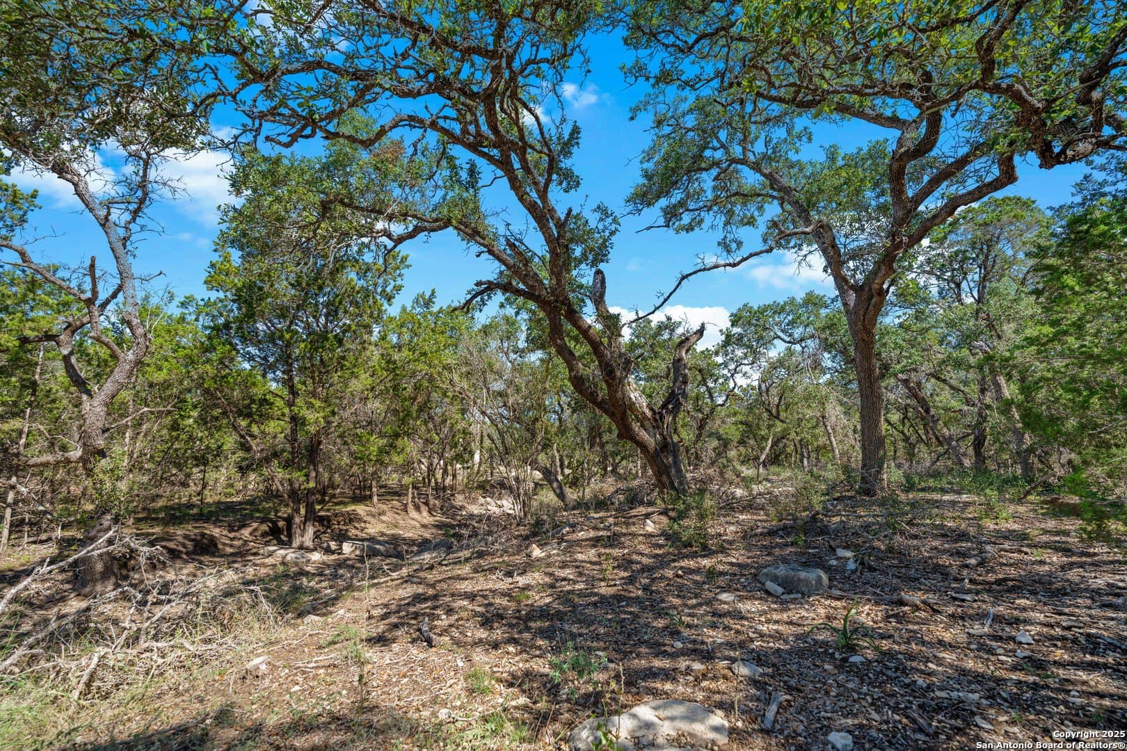 1.03 acres in Comal County - photo 10