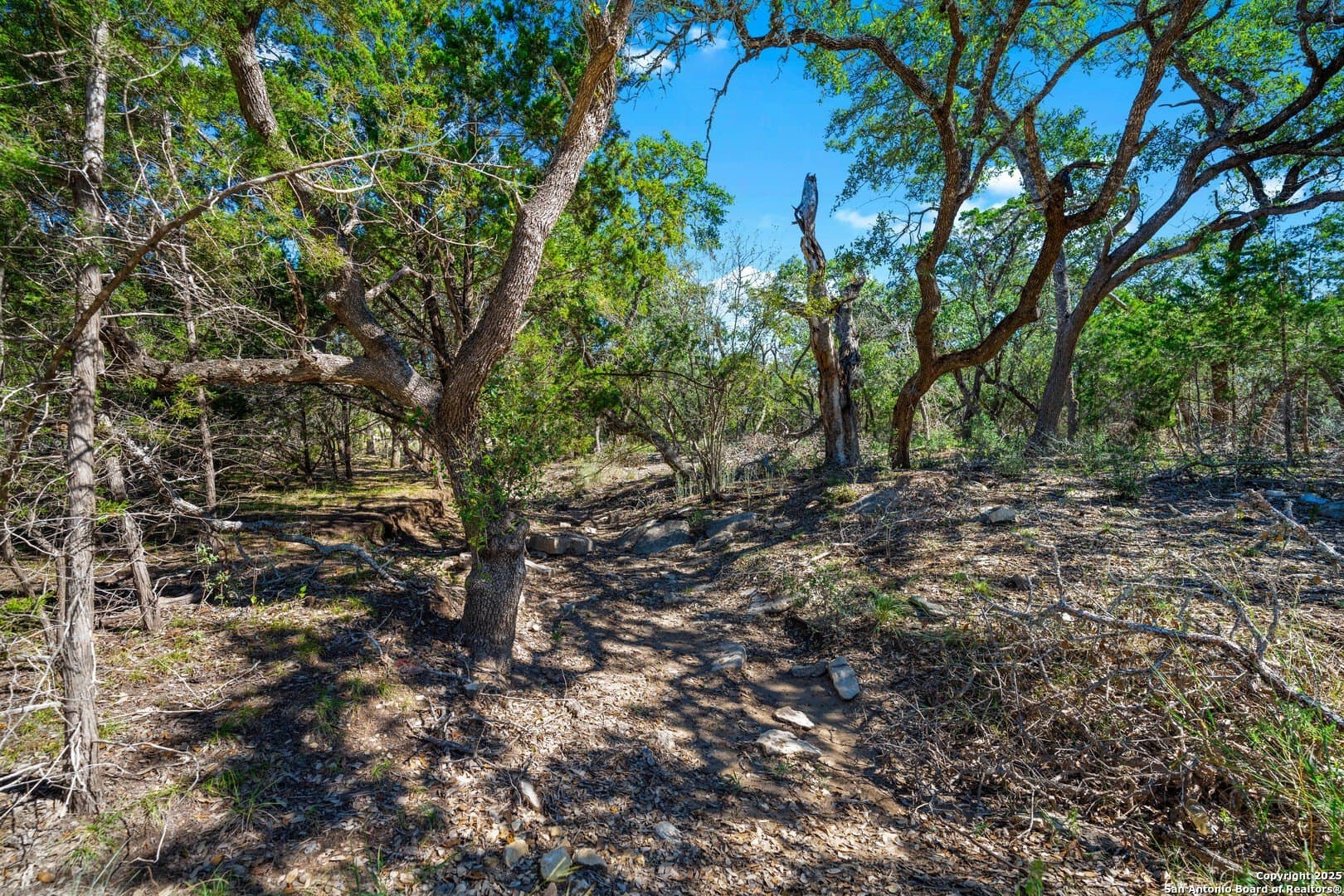 1.03 acres in Comal County - photo 15