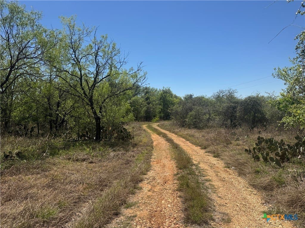 6.1 acres in Guadalupe County gallery image 2