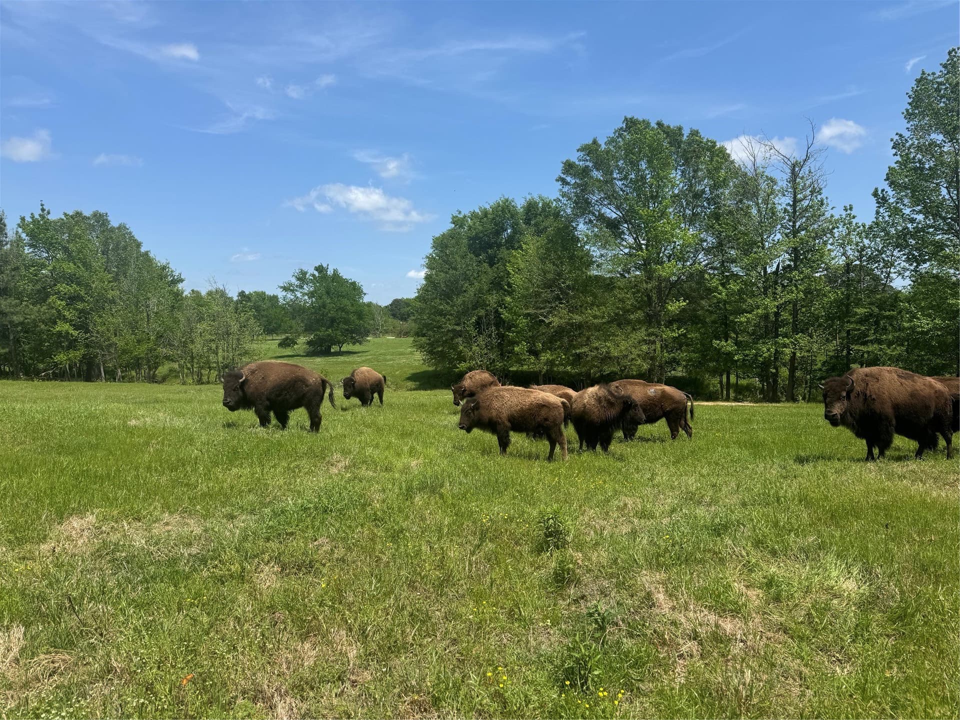 11.6 acres in Upshur County - photo 4