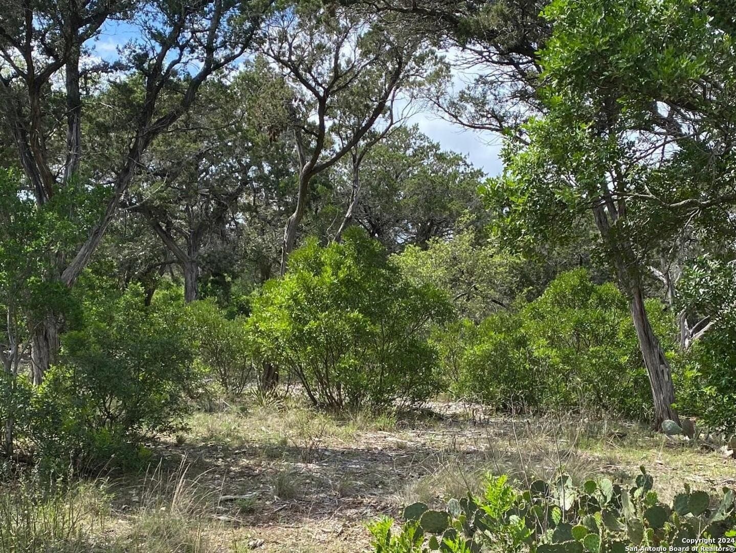 2.01 acres in Bandera County - photo 6