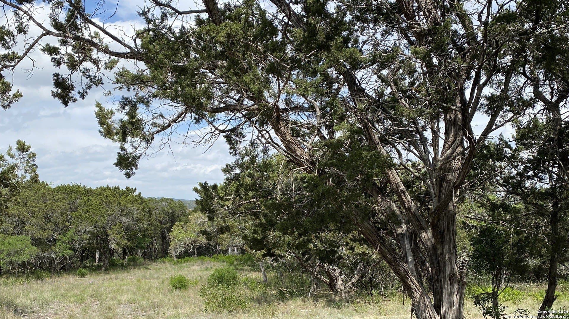 2.01 acres in Bandera County - photo 9