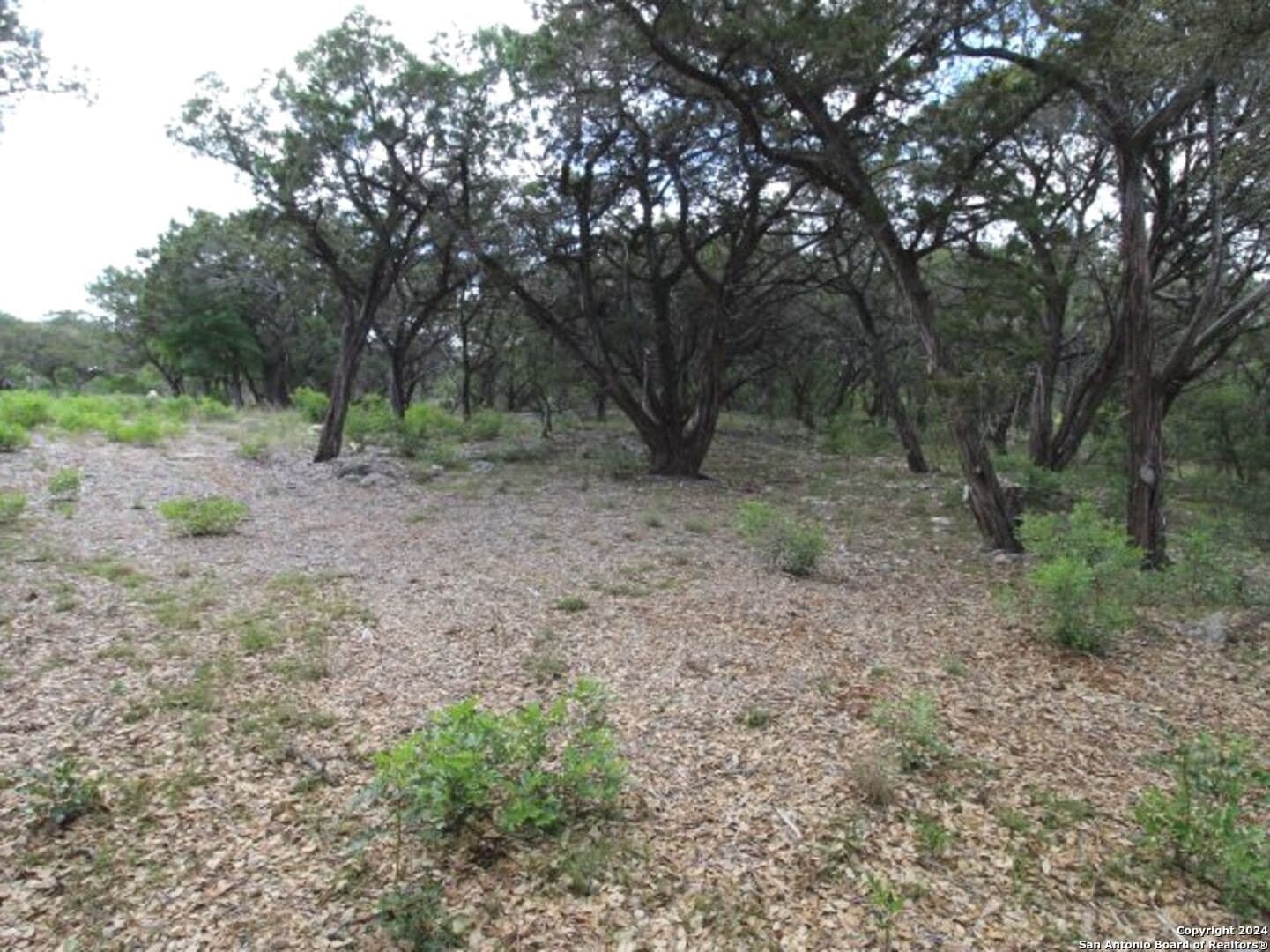 2.01 acres in Bandera County - photo 14