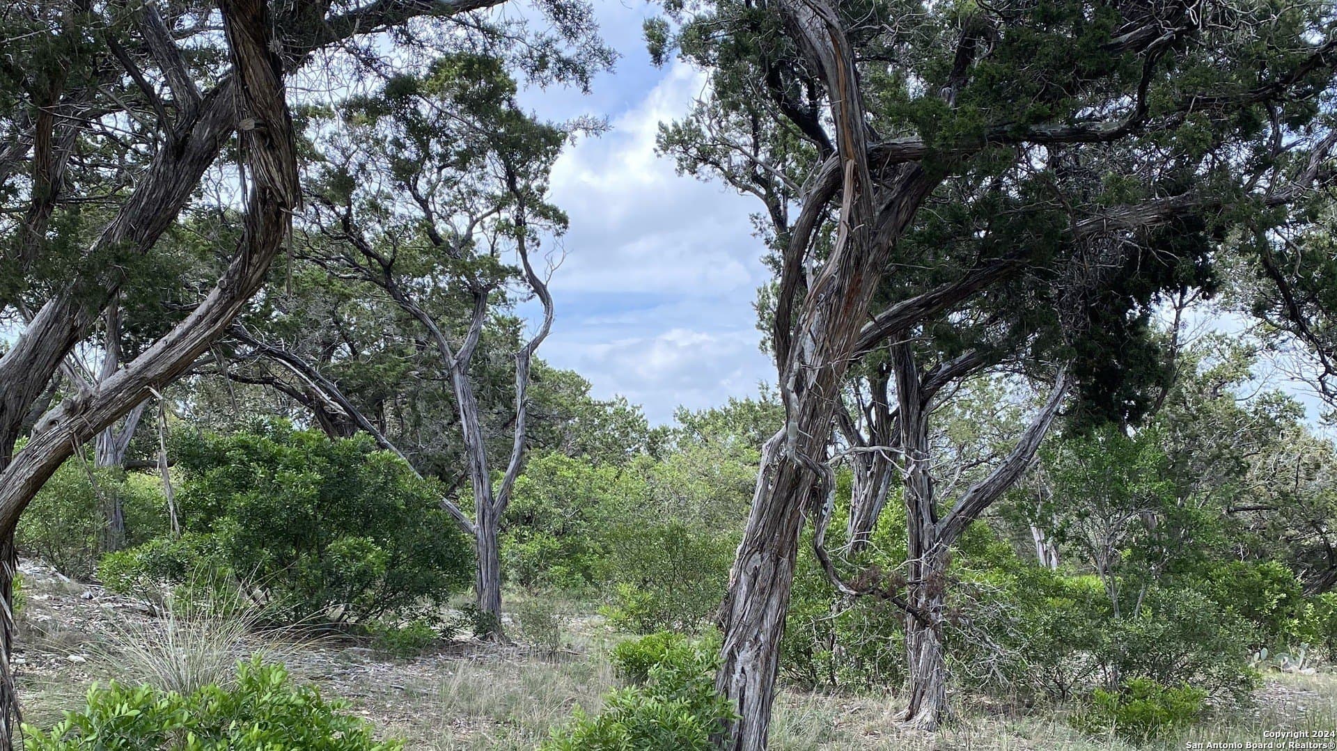 2.01 acres in Bandera County - photo 10