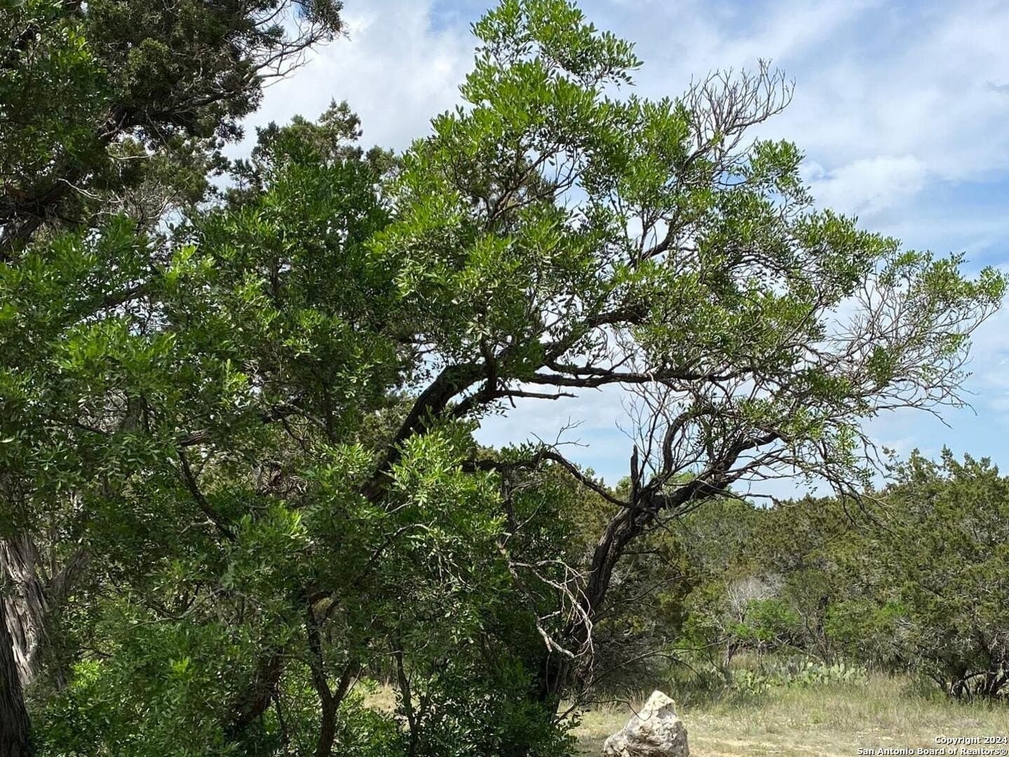 2.01 acres in Bandera County - photo 7