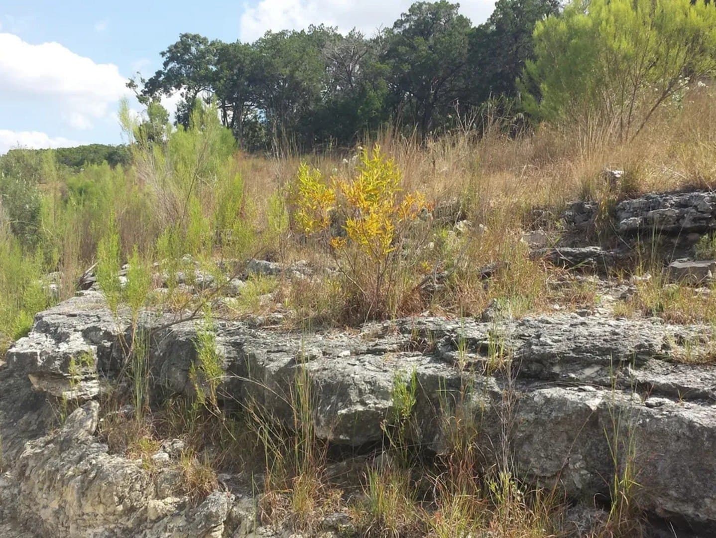 2.01 acres in Bandera County - photo 8