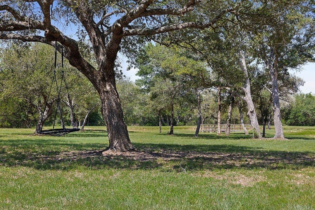 30.14 acres in Colorado County gallery image 3