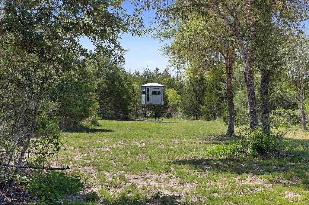 30.14 acres in Colorado County gallery image 4