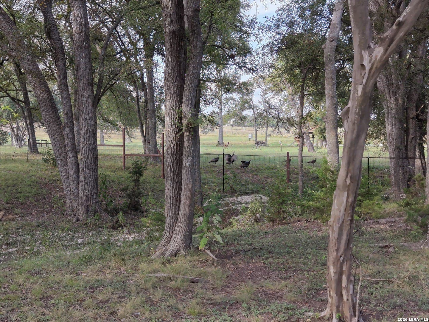 19.57 acres in Kendall County - photo 16