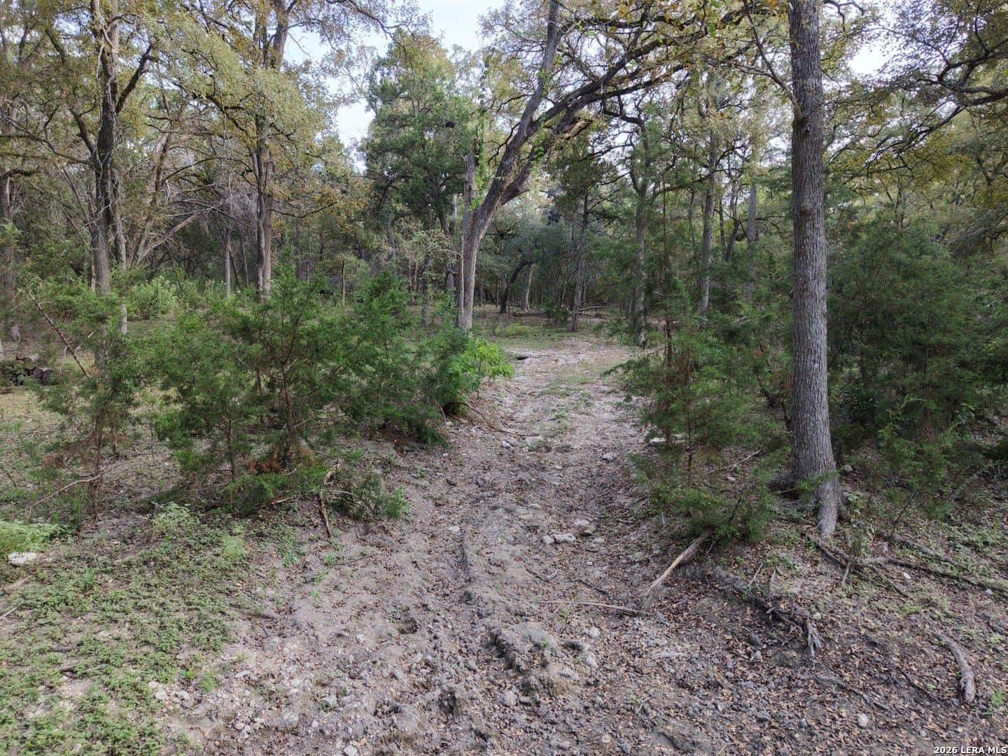 19.57 acres in Kendall County - photo 17