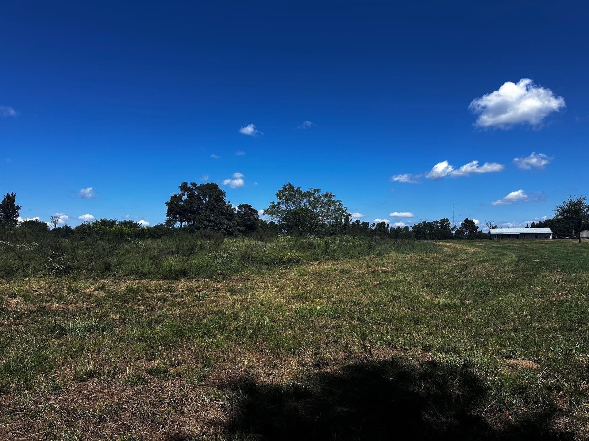 10 acres in Van Zandt County gallery image 2