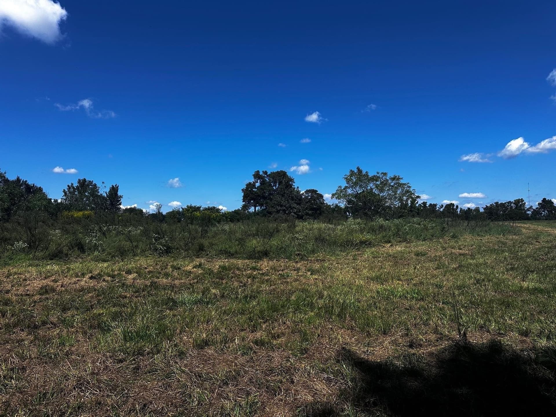 10 acres in Van Zandt County gallery image 4