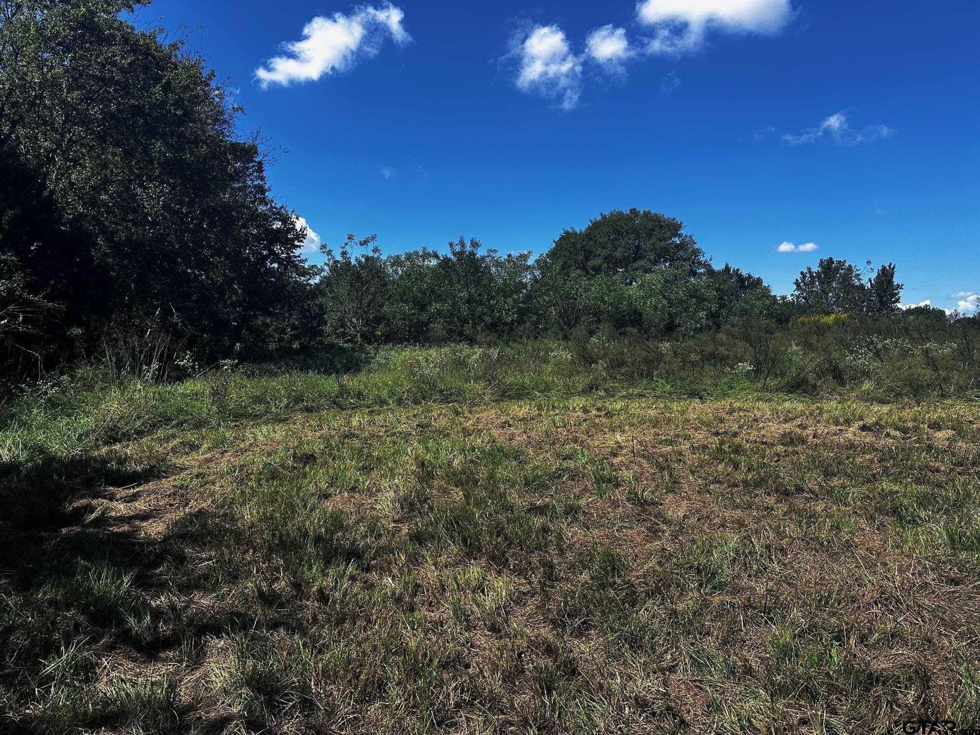 10 acres in Van Zandt County gallery image 3