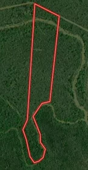 120 acres in Red River (TX) County gallery image 2