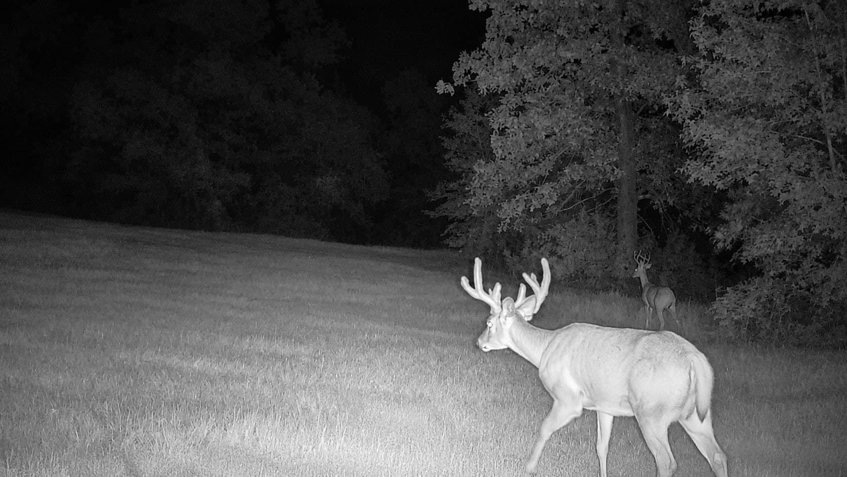 75.36 acres in Cass County - photo 34
