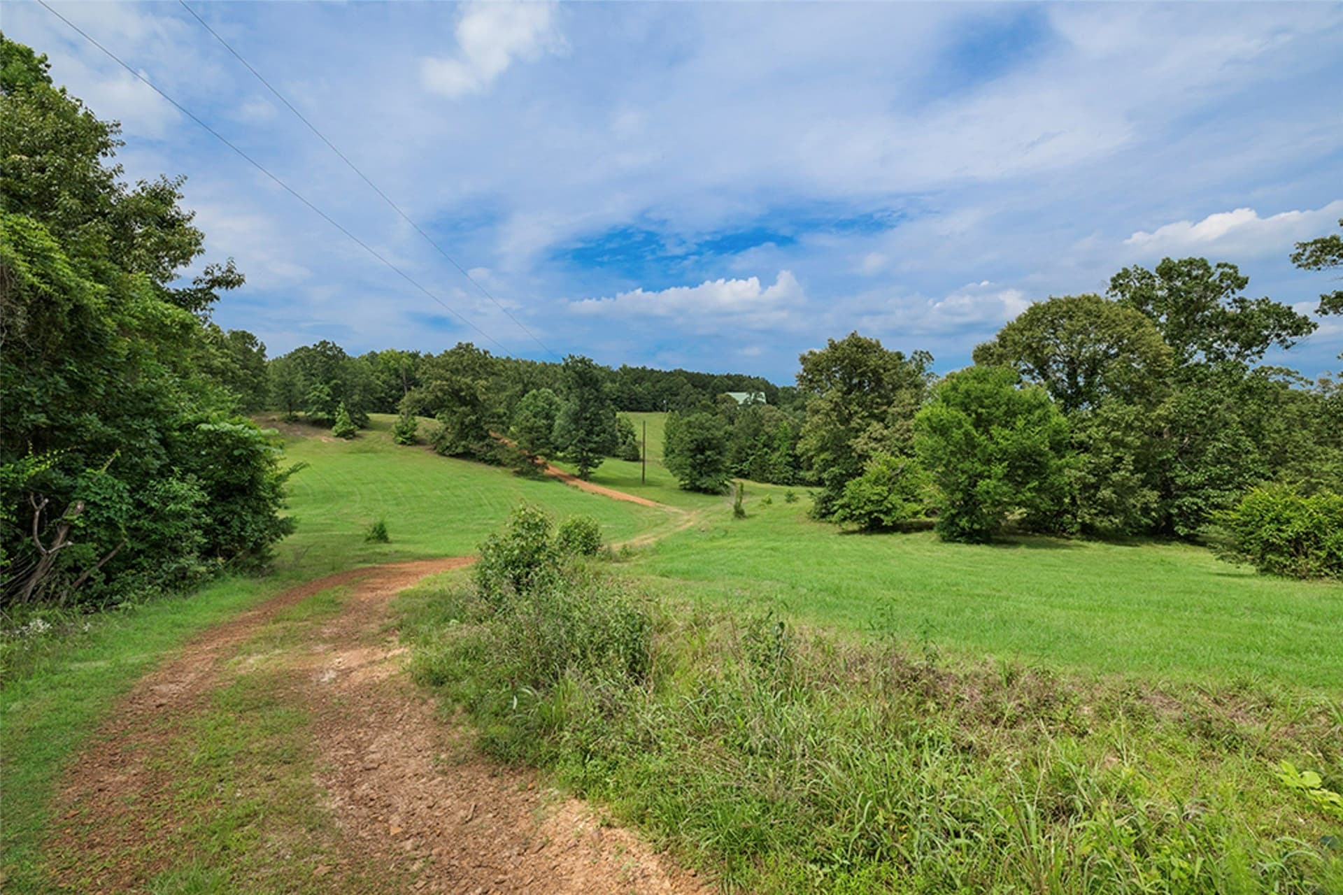 75.36 acres in Cass County - photo 28