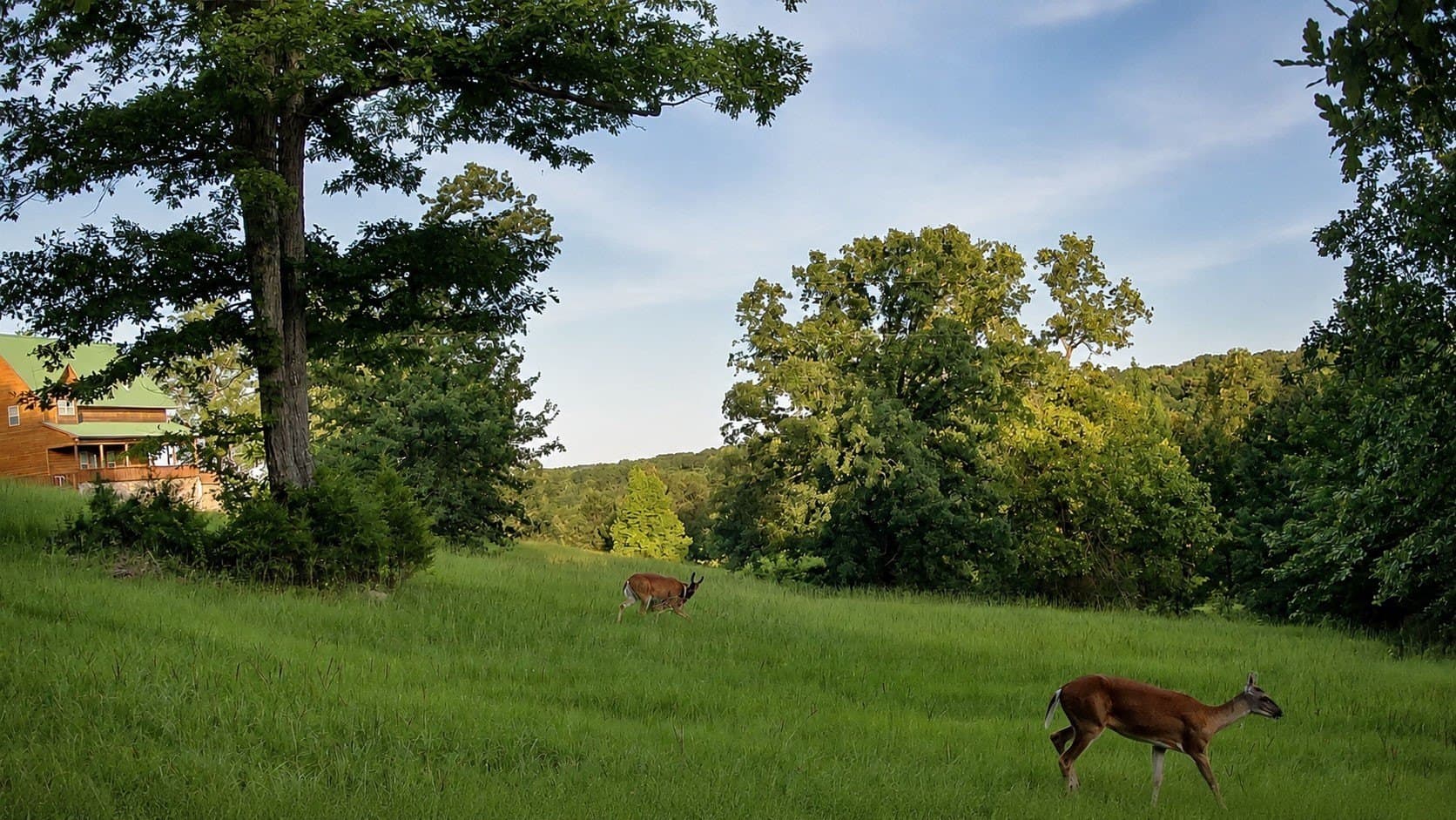 75.36 acres in Cass County - photo 35