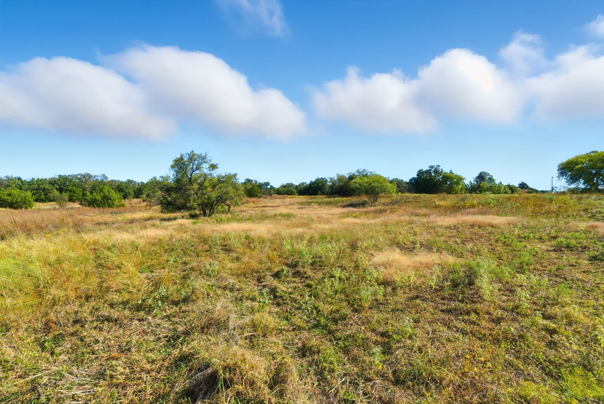 94.61 acres in Wise County - photo 31