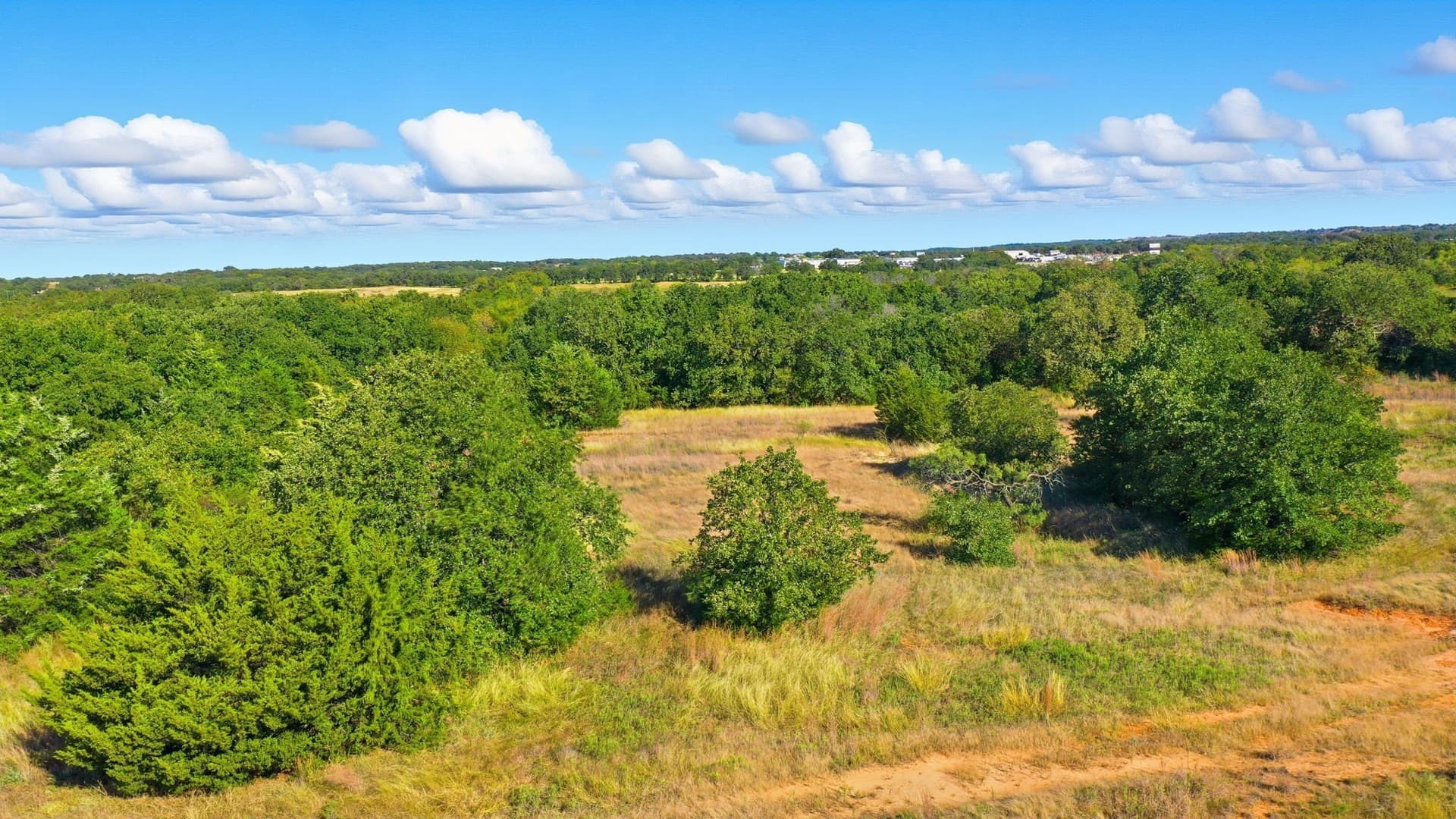 94.61 acres in Wise County - photo 14