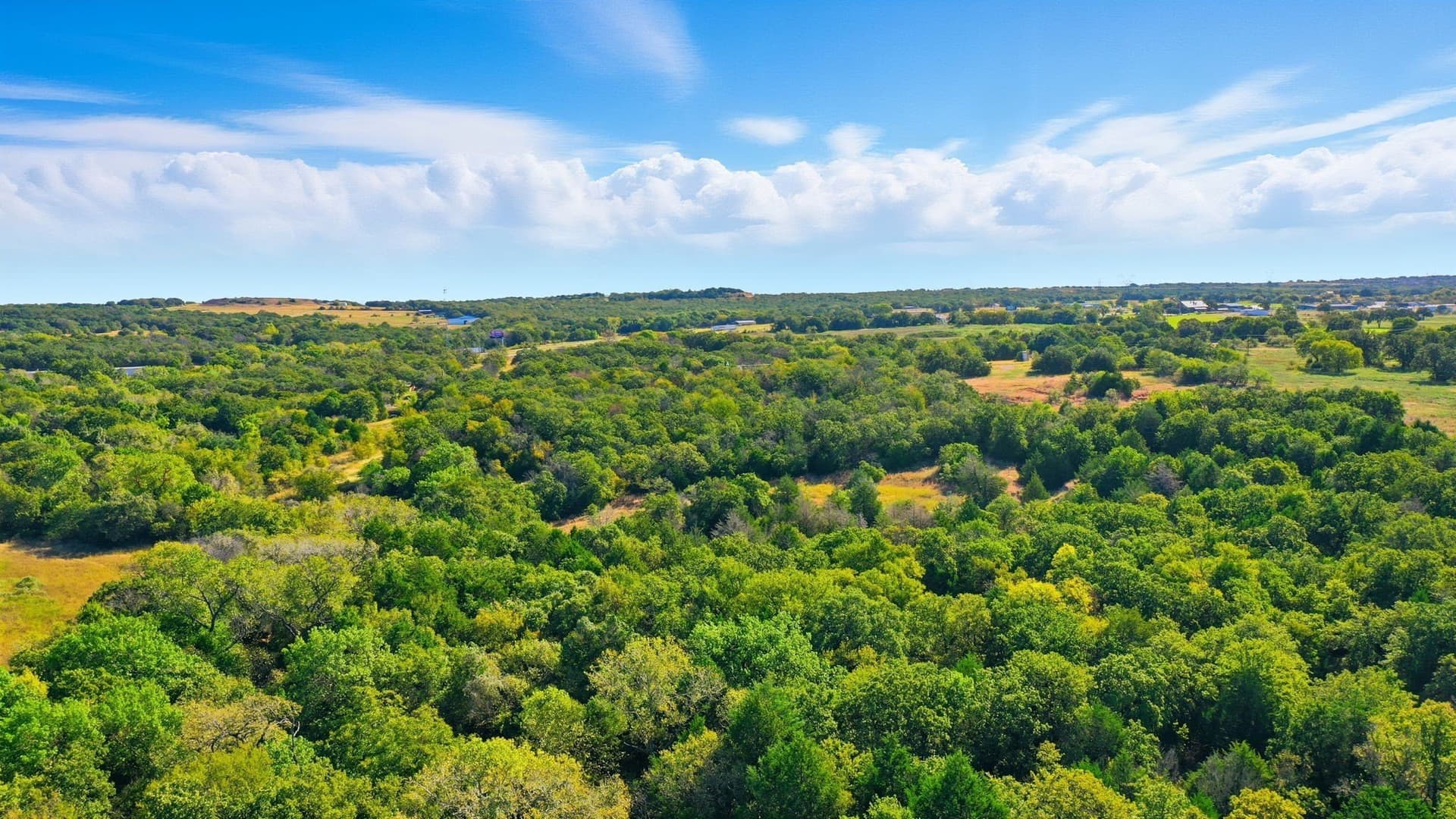 94.61 acres in Wise County - photo 22