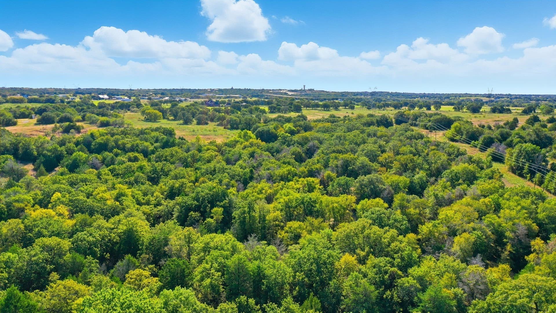 94.61 acres in Wise County - photo 33