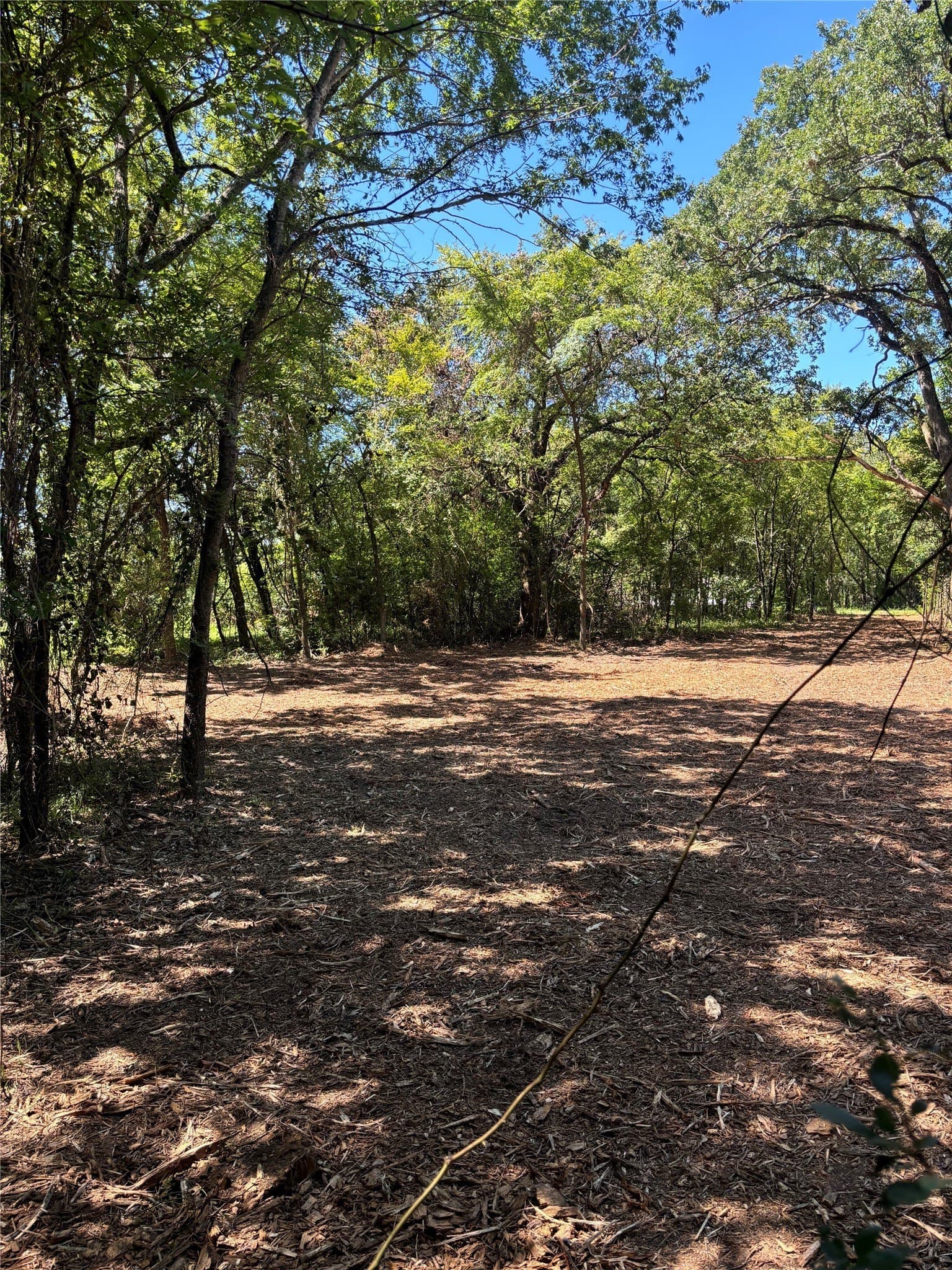 0.96 acres in Henderson County - photo 12