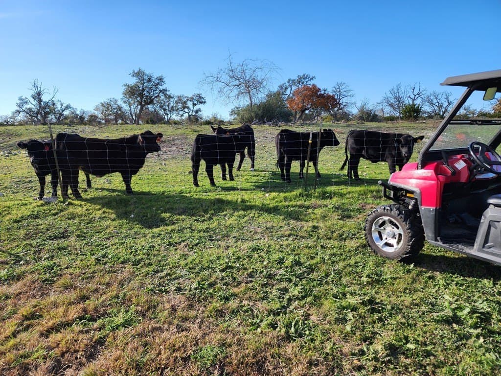 27.11 acres in Gillespie County - photo 64