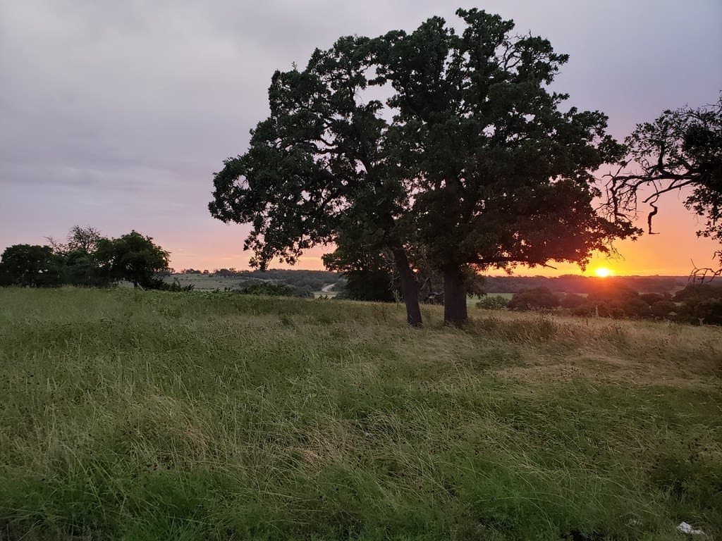 27.11 acres in Gillespie County - photo 55