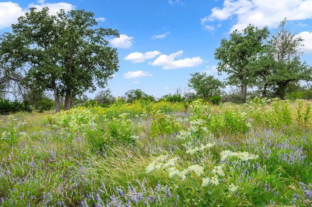 27.11 acres in Gillespie County - photo 49