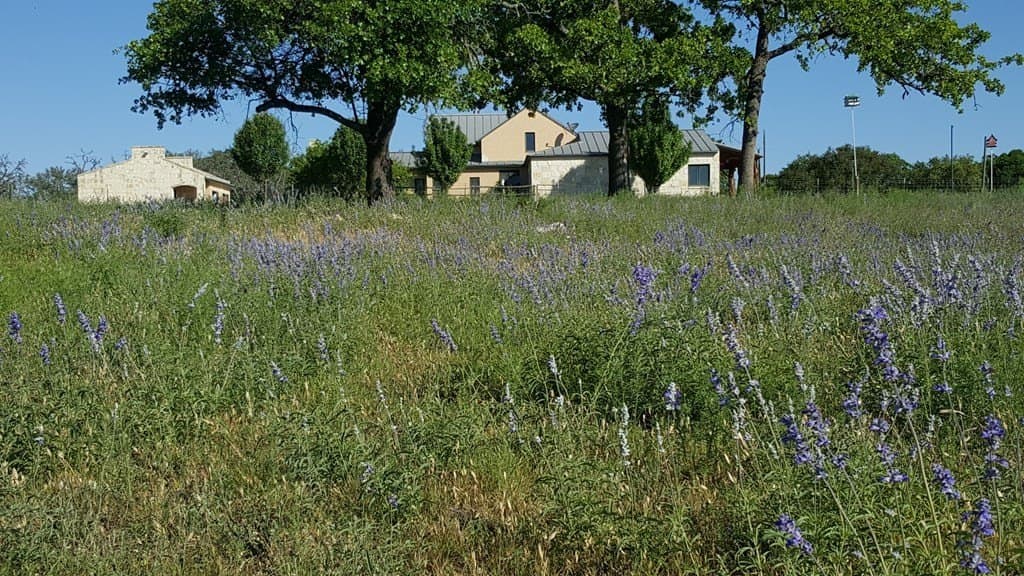 27.11 acres in Gillespie County - photo 33