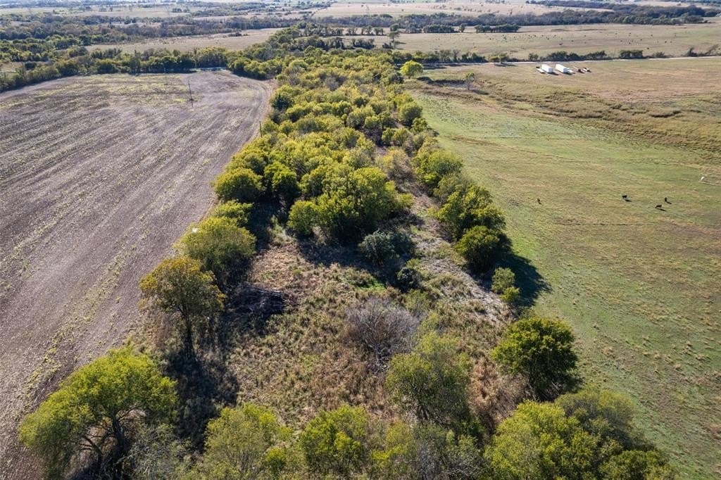 84 acres in Hill County gallery image 2