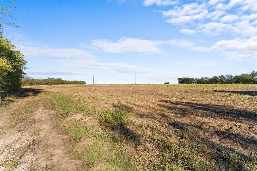 84 acres in Hill County gallery image 4