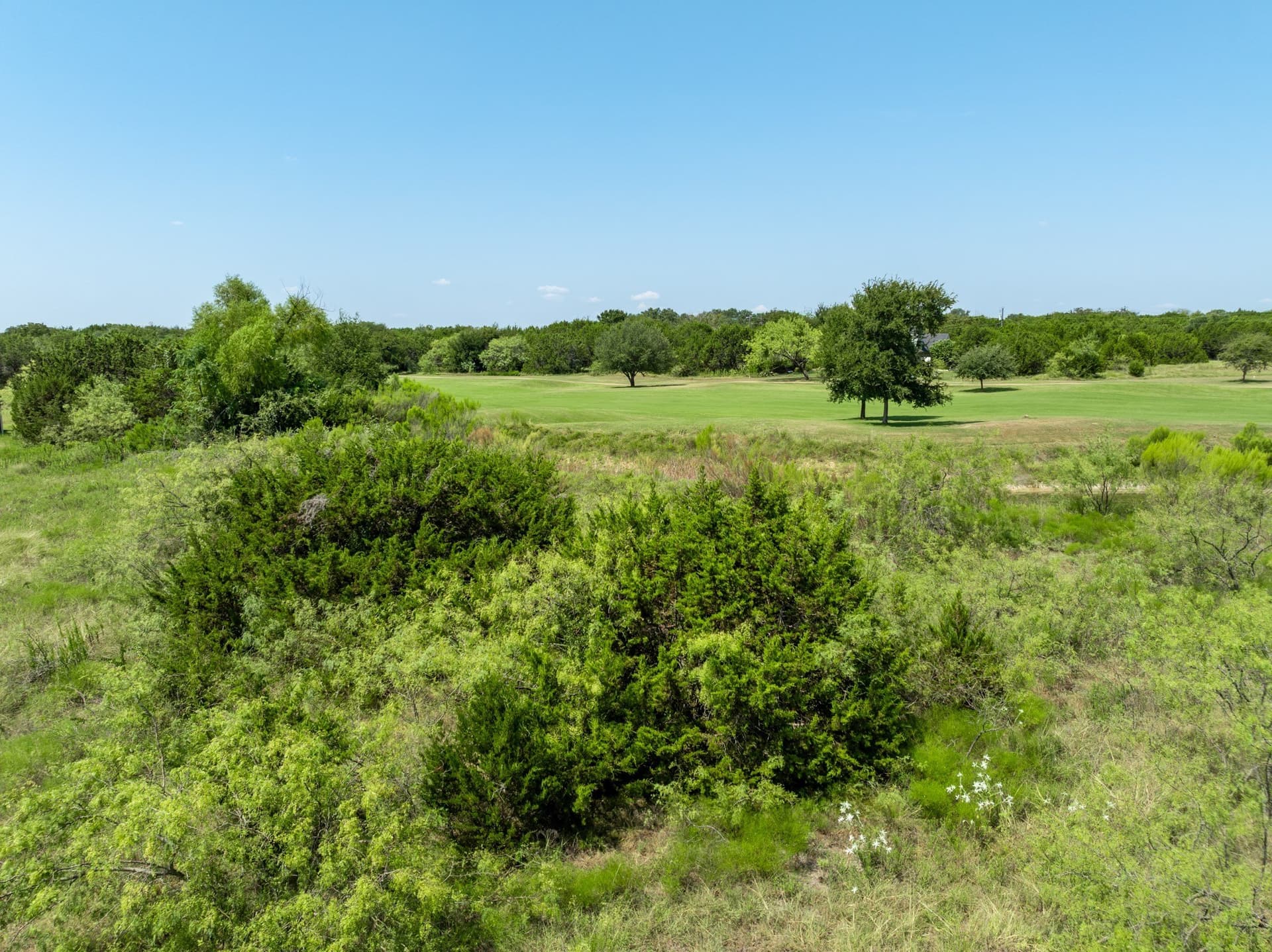 0.13 acres in Hill County - photo 13