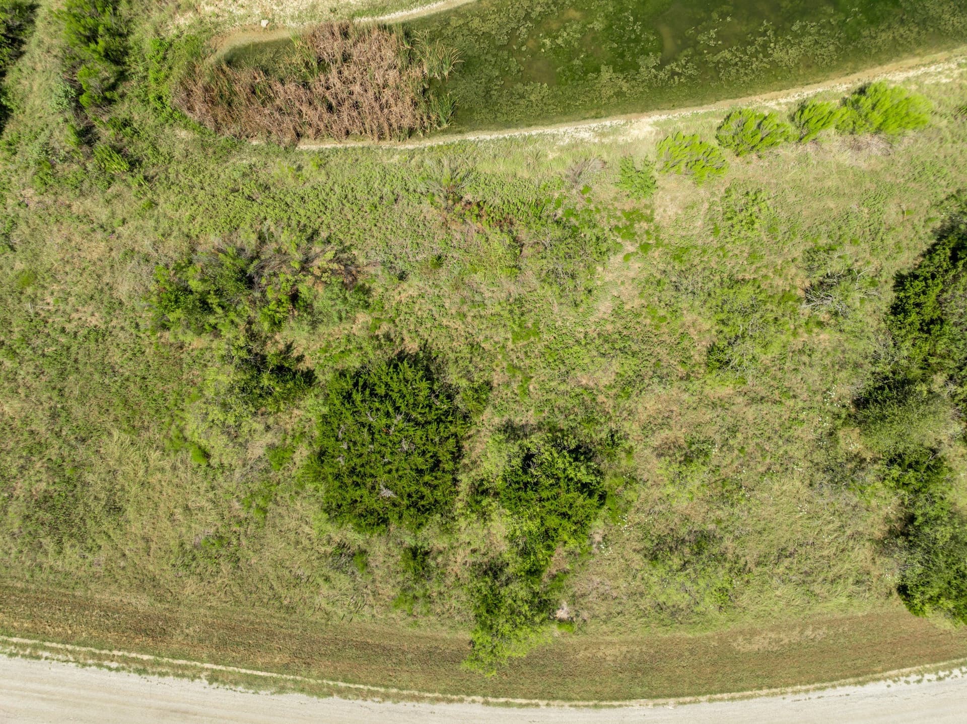 0.13 acres in Hill County - photo 16