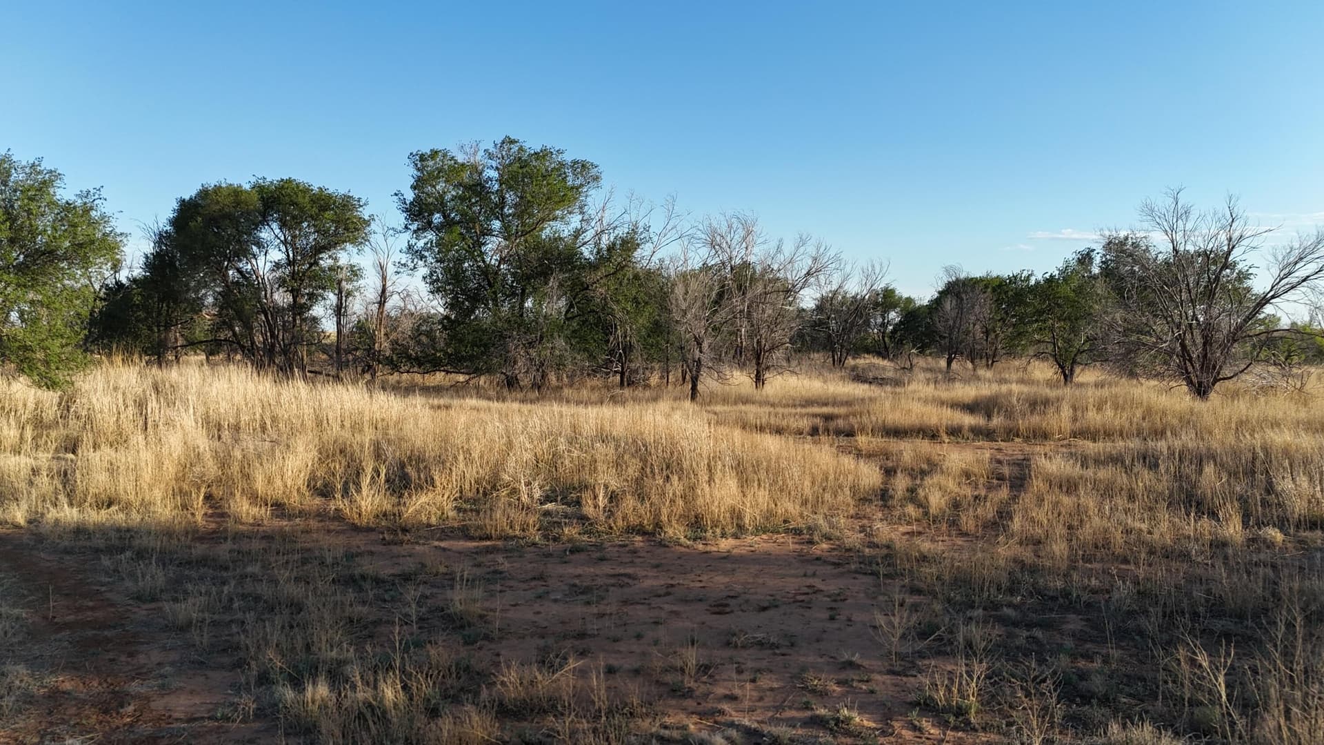 29.87 acres in Lubbock County - photo 4