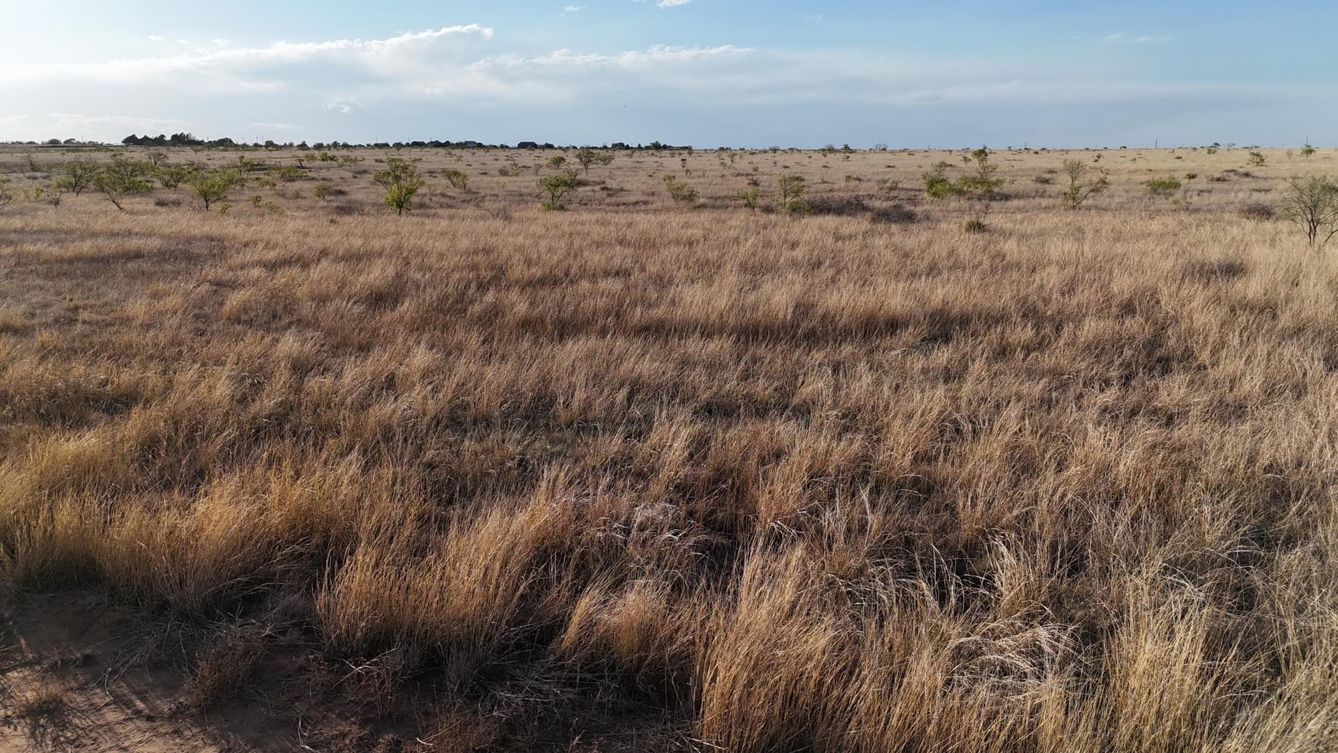29.87 acres in Lubbock County - photo 10