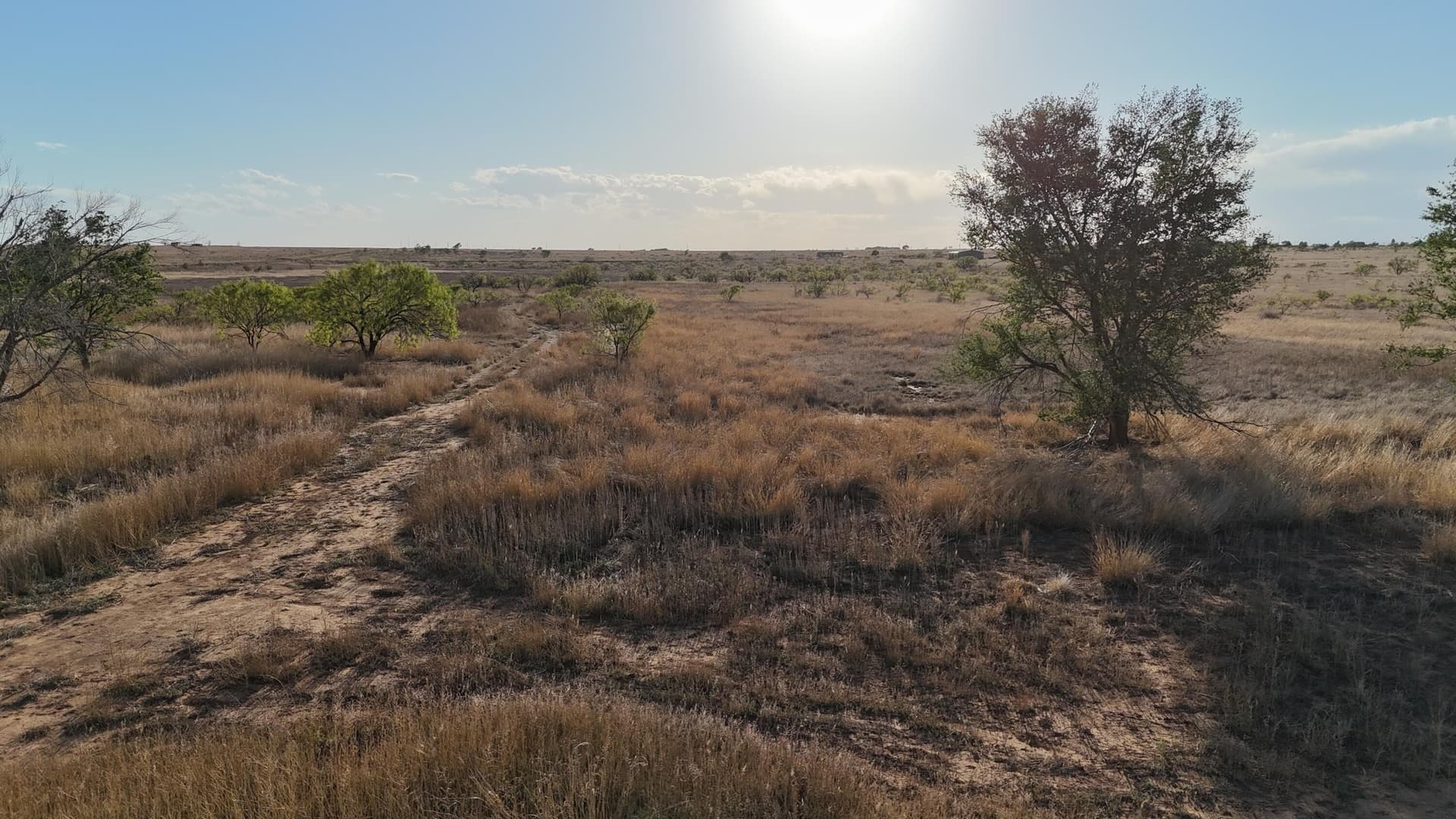 29.87 acres in Lubbock County - photo 8