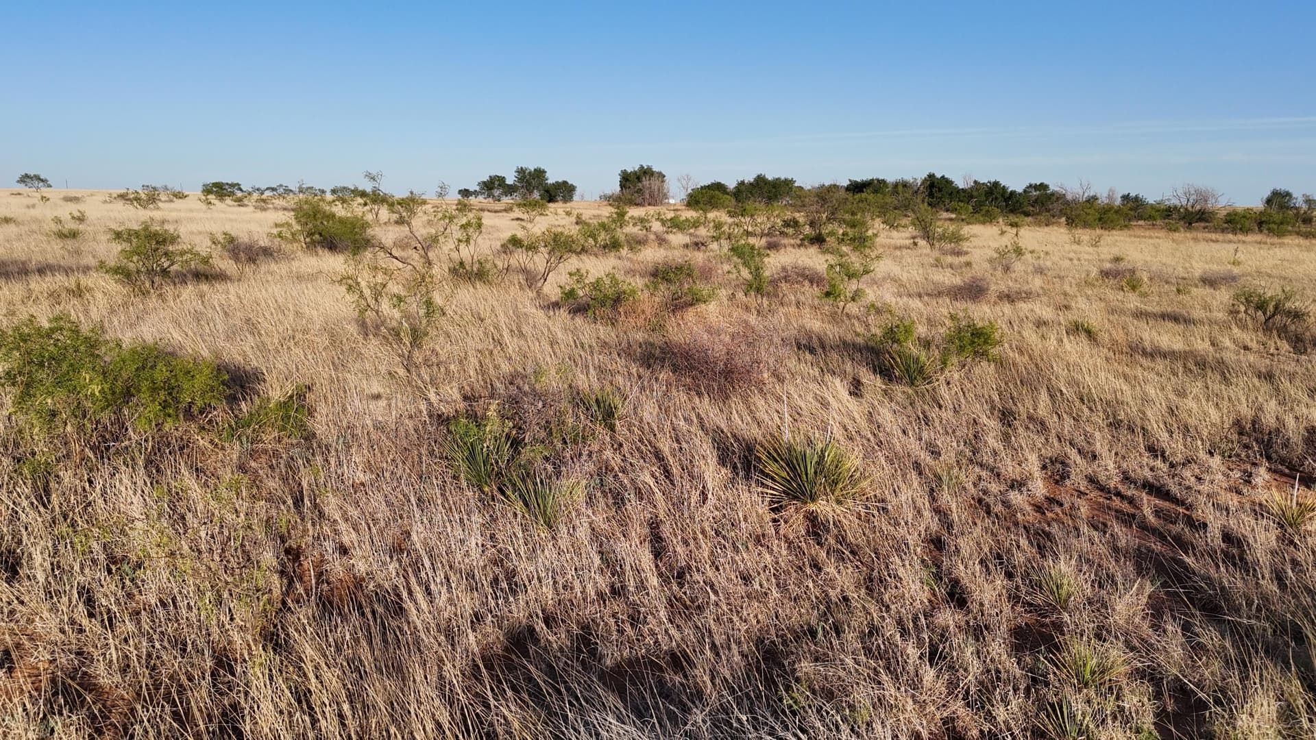 29.87 acres in Lubbock County - photo 12