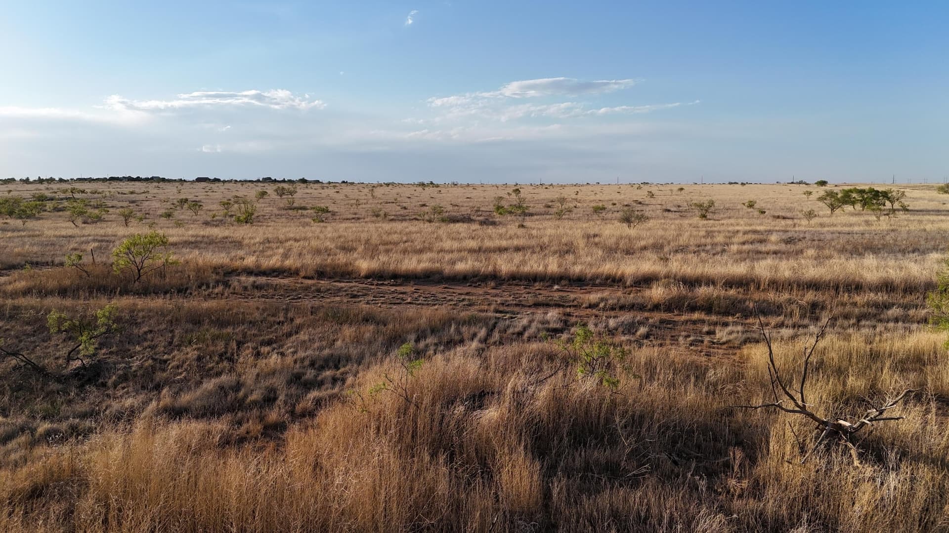 29.87 acres in Lubbock County - photo 13