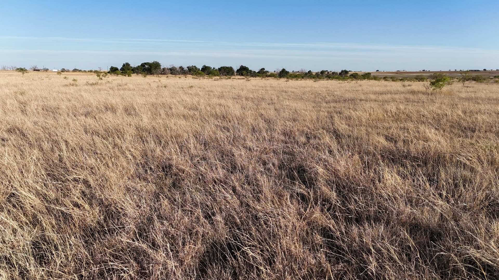 29.87 acres in Lubbock County - photo 14