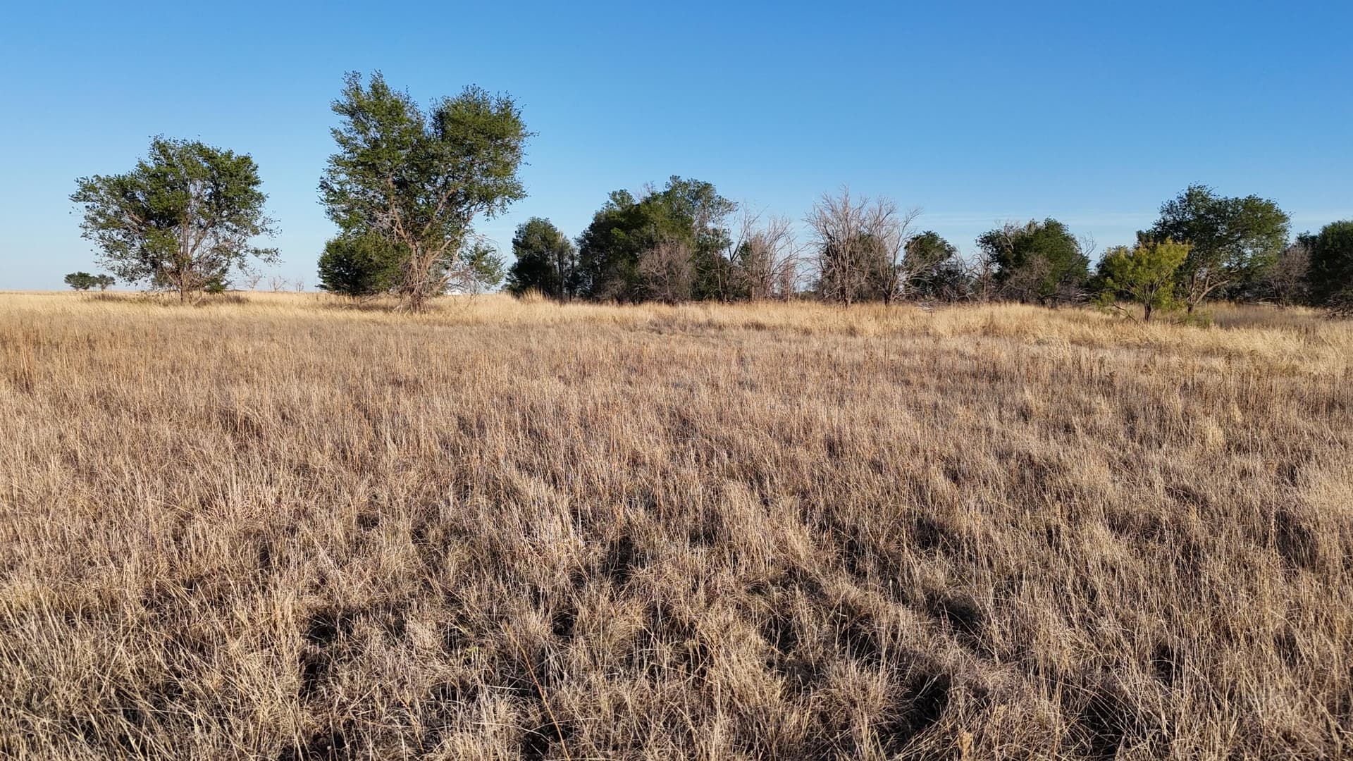 29.87 acres in Lubbock County - photo 18