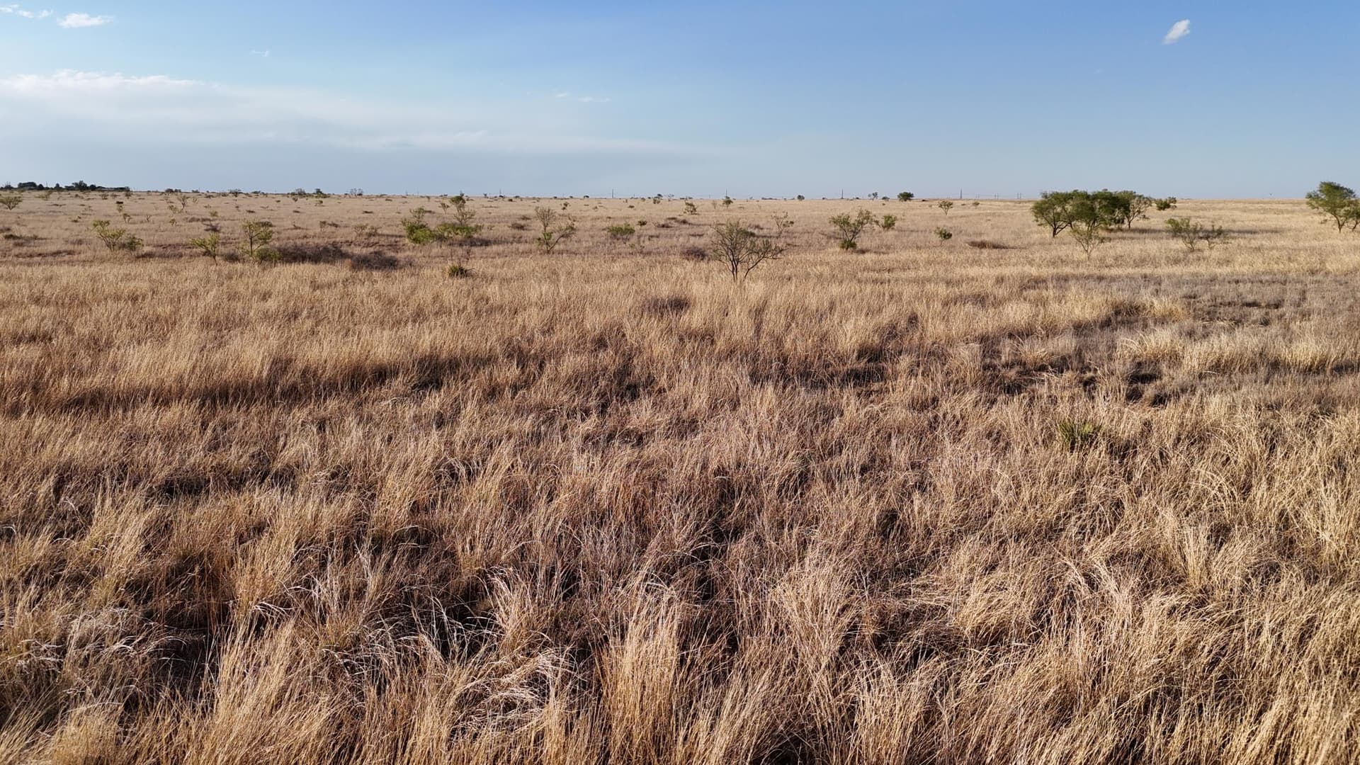 29.87 acres in Lubbock County - photo 11