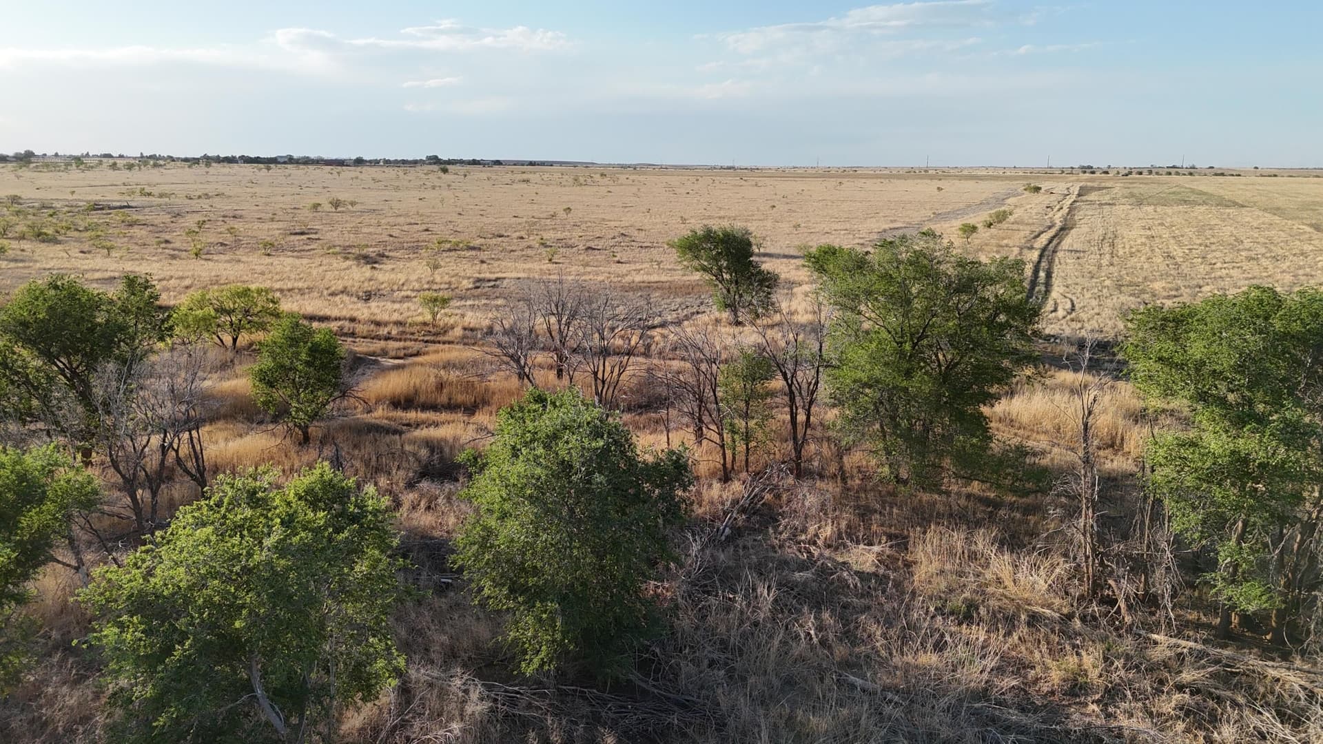 29.87 acres in Lubbock County - photo 9