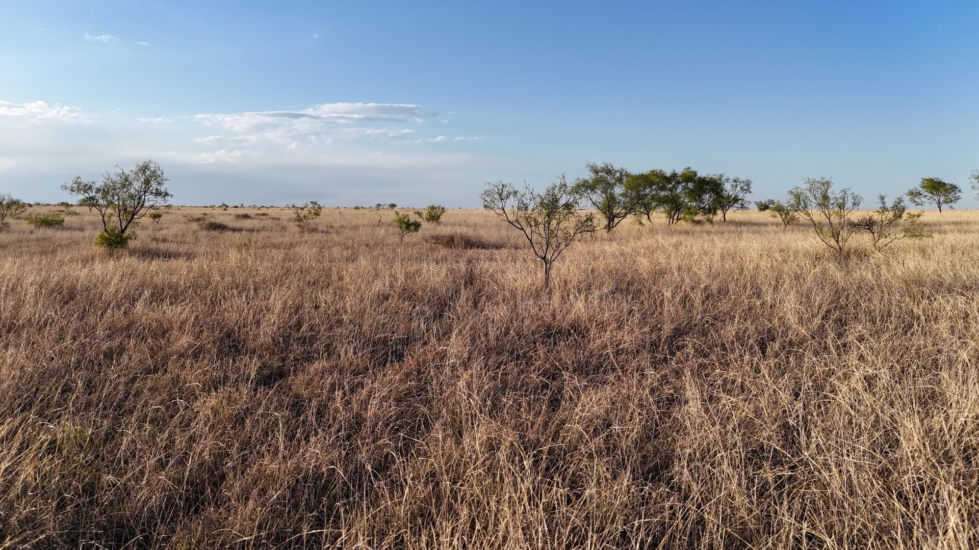 29.87 acres in Lubbock County - photo 17