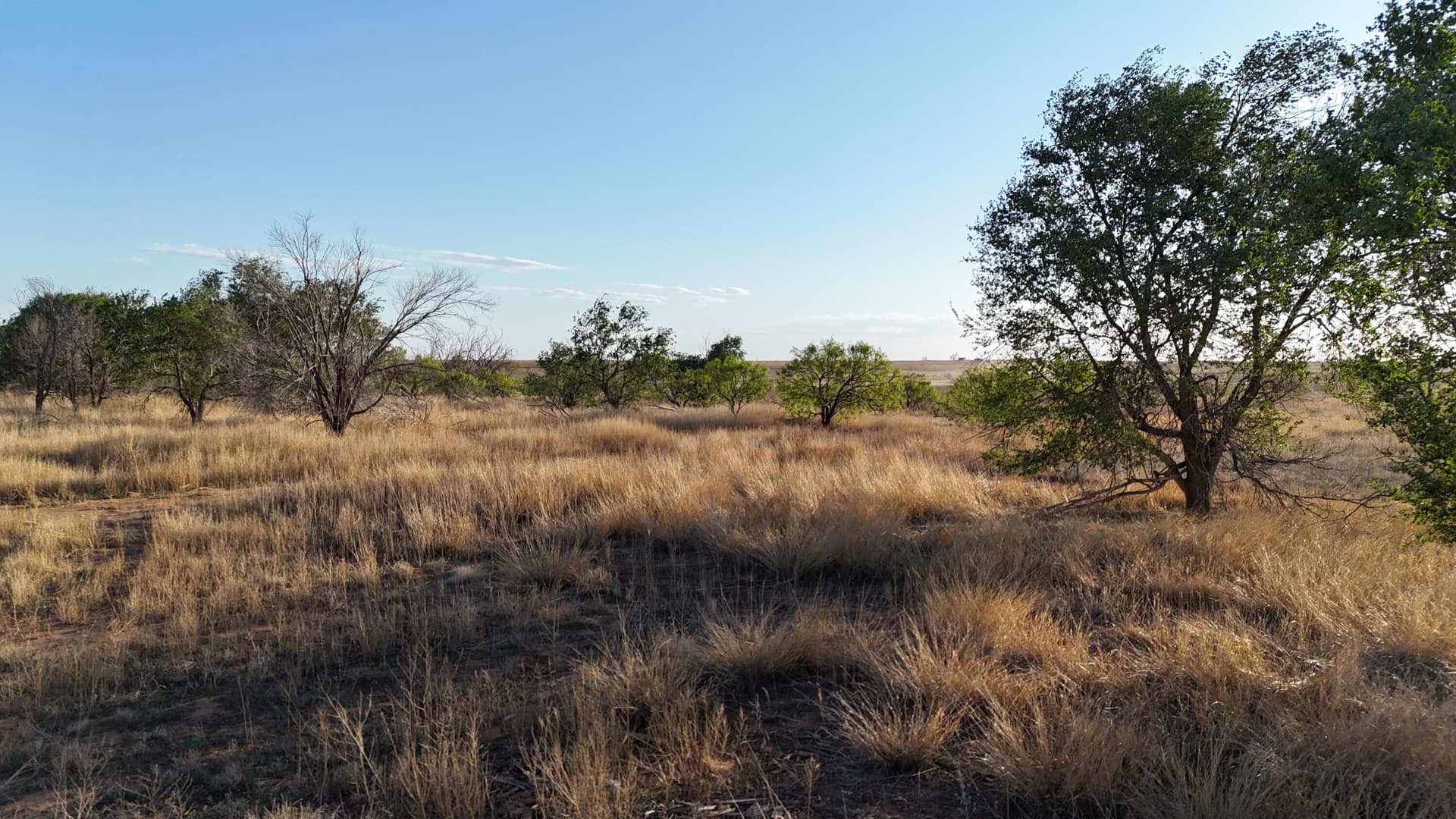 29.87 acres in Lubbock County - photo 3